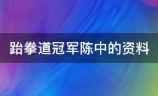 跆拳道冠军陈中的资料 