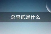 总皂甙是什么 