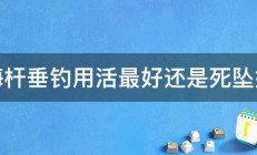 海杆垂钓用活最好还是死坠好 