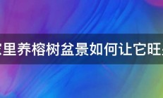 家里养榕树盆景如何让它旺盛 