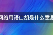 网络用语口胡是什么意思 