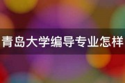 青岛大学编导专业怎样 