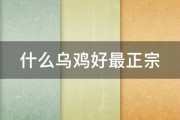 什么乌鸡好最正宗 