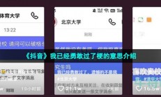 抖音我已经勇敢过了是什么梗-我已经勇敢过了梗的意思介绍