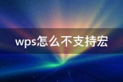 wps怎么不支持宏 