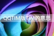 QQTIM版TIM的意思 