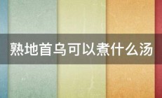 熟地首乌可以煮什么汤 