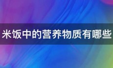 米饭中的营养物质有哪些 