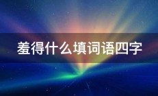 羞得什么填词语四字 