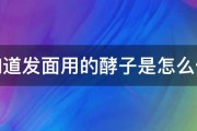 谁知道发面用的酵子是怎么做的 