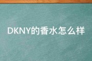 DKNY的香水怎么样 