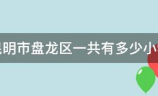 昆明市盘龙区一共有多少小学 