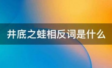 井底之蛙相反词是什么 