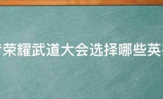 王者荣耀武道大会选择哪些英雄好 