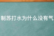 自制苏打水为什么没有气泡 