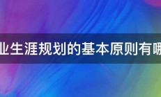 职业生涯规划的基本原则有哪些 