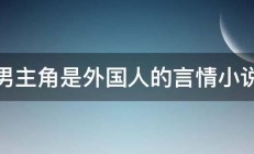 男主角是外国人的言情小说 