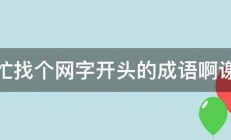 帮忙找个网字开头的成语啊谢过 