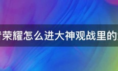 王者荣耀怎么进大神观战里的大神 