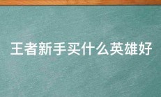 王者新手买什么英雄好 