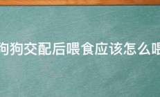 狗狗交配后喂食应该怎么喂 