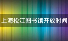 上海松江图书馆开放时间 