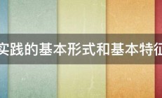 实践的基本形式和基本特征 