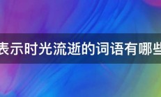 表示时光流逝的词语有哪些 