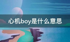 心机boy是什么意思 