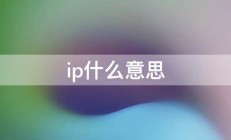 ip什么意思 