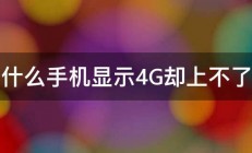 为什么手机显示4G却上不了网 