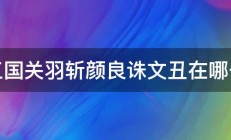 新三国关羽斩颜良诛文丑在哪一集 