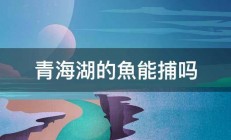 青海湖的魚能捕吗 