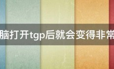 电脑打开tgp后就会变得非常卡 