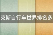 雷克斯自行车世界排名多少 