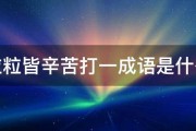 粒粒皆辛苦打一成语是什么 