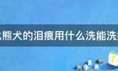 比熊犬的泪痕用什么洗能洗掉 