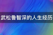 武松鲁智深的人生经历 