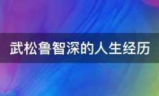 武松鲁智深的人生经历 