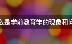 什么是学前教育学的现象和问题 