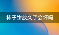 柿子饼放久了会坏吗 