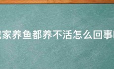 我家养鱼都养不活怎么回事啊 