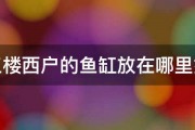 三楼西户的鱼缸放在哪里好 