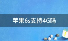 苹果6s支持4G吗 