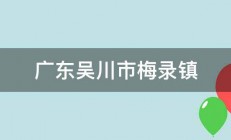 广东吴川市梅录镇 