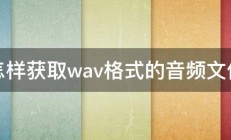 怎样获取wav格式的音频文件 