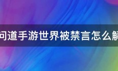 问道手游世界被禁言怎么解 