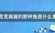 宽宽扁扁的那种鱼是什么鱼 