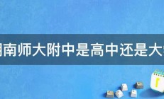 湖南师大附中是高中还是大学 