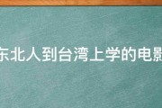 东北人到台湾上学的电影 